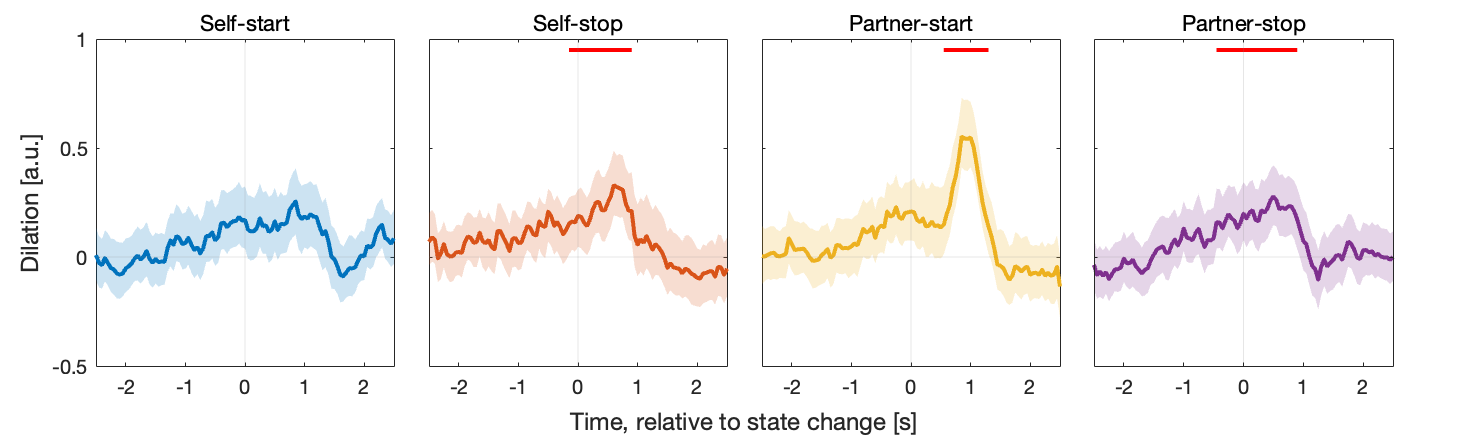Pupil Responses During Interactive Conversation